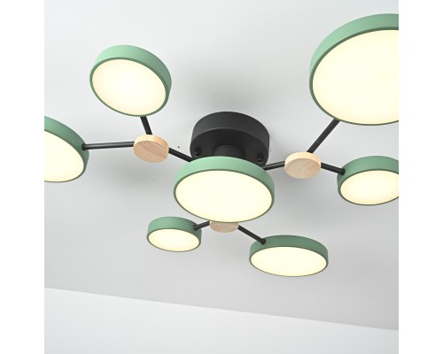 Потолочная люстра GAMMA D88 Green