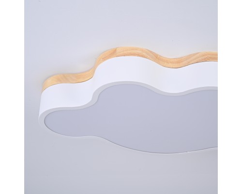 Потолочный светильник CLOUD ECO D50 White ImperiumLoft