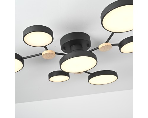 Потолочная люстра GAMMA D88 Black