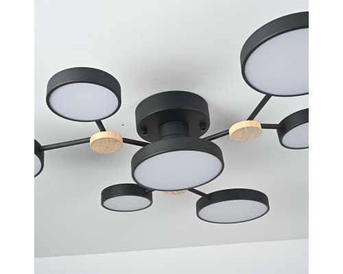 Потолочная люстра GAMMA D88 Black