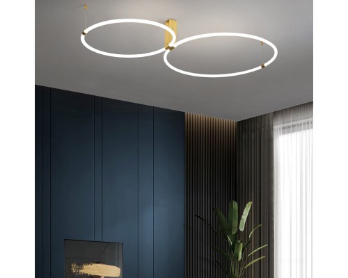 Потолочный светильник RINGMOR D60 D80 R2 ImperiumLoft