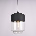 Подвесной светильник NORD A D18 Black/Transparent ImperiumLoft