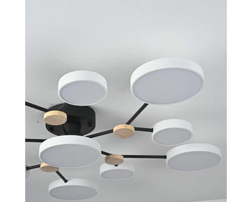 Потолочная люстра GAMMA D102 White