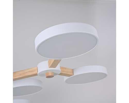 Потолочная люстра TURNA Белый