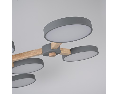 Потолочная люстра TURNA Серый