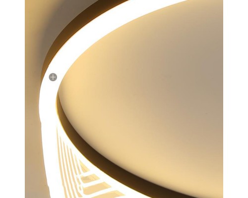 Потолочный светильник IZELIN D40 Black ImperiumLoft