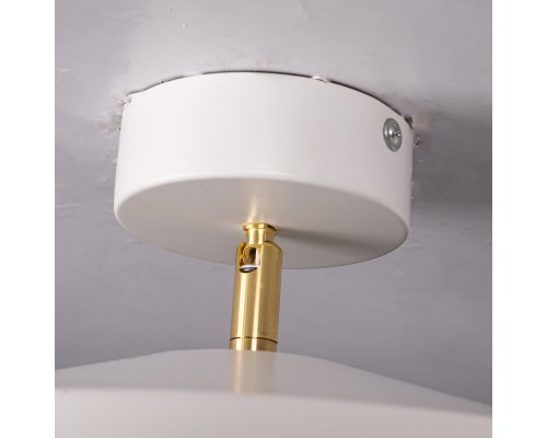 Потолочный светильник BIRK D30 White ImperiumLoft