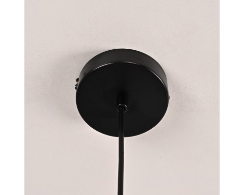 Подвесной светильник HOOP DROP Black ImperiumLoft