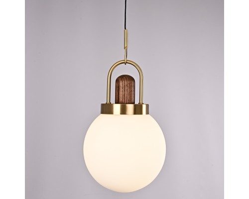 Подвесной светильник Arc Globe Шар D20 ImperiumLoft