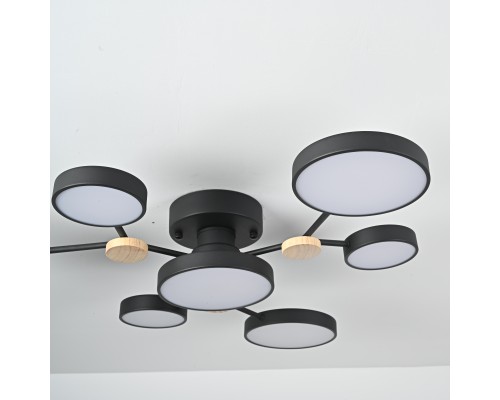 Потолочная люстра GAMMA D88 Black