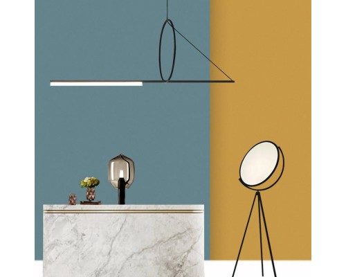 Подвесной светильник SUSPENSION CERCLE ET TRAIT – GRAPHITE SATINE L120 ImperiumLoft