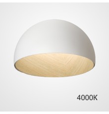 Потолочный светильник BARA B D50 White 4000К ImperiumLoft