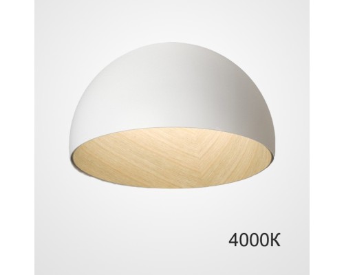 Потолочный светильник BARA B D50 White 4000К ImperiumLoft