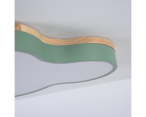 Потолочный светильник CLOUD ECO D63 Green