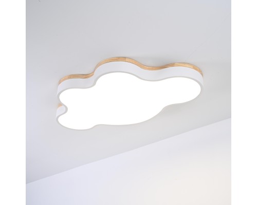 Потолочный светильник CLOUD ECO D83 White ImperiumLoft