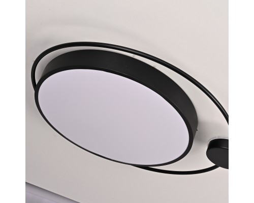 Потолочный светильник DESTIN D60 Black ImperiumLoft