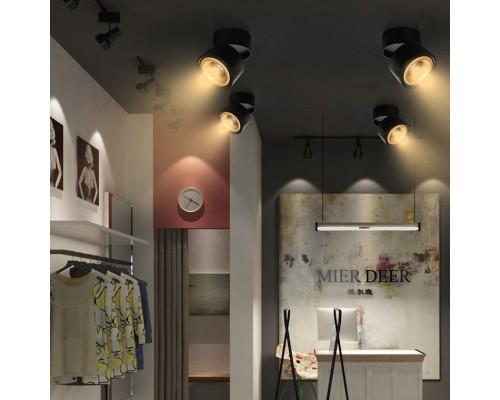 Потолочный светильник AGENDA black+gold 10W ImperiumLoft