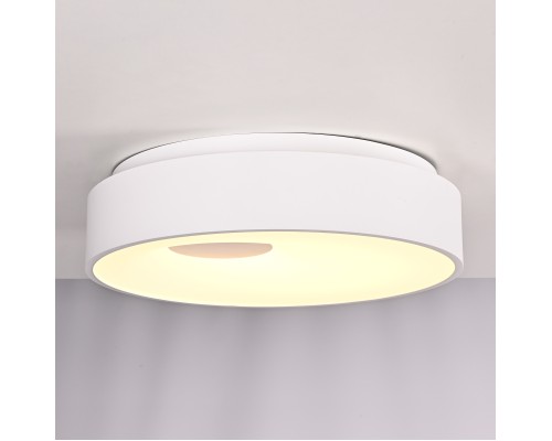 Потолочный светильник ECLA D45 ImperiumLoft