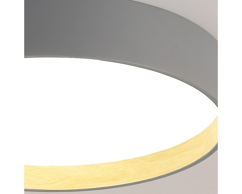 Потолочный светильник NETTY D40 Black