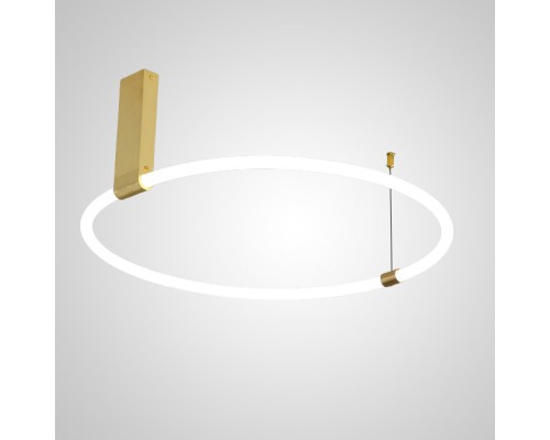 Потолочный светильник RINGMOR D60 D80 R2 ImperiumLoft