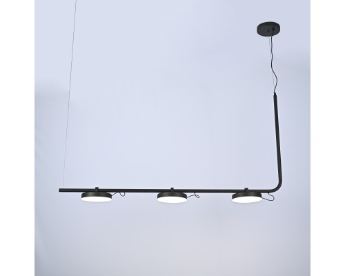 Подвесной светильник CARY-LONG ImperiumLoft