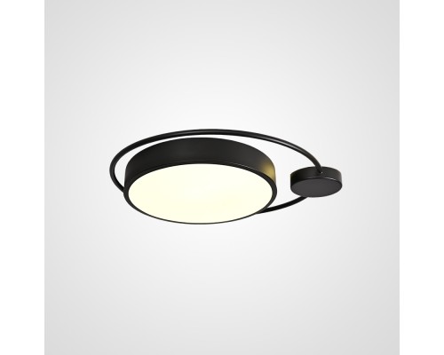 Потолочный светильник DESTIN D40 Black ImperiumLoft