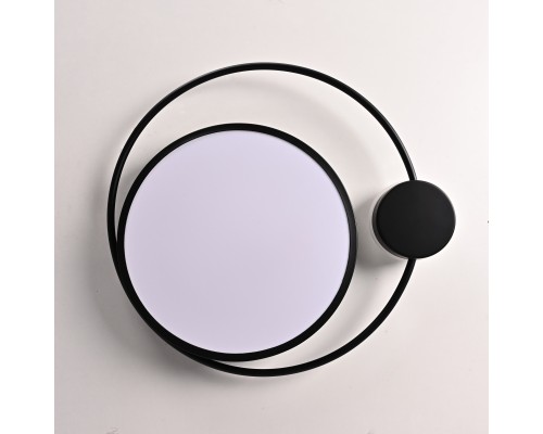 Потолочный светильник DESTIN D40 Black ImperiumLoft