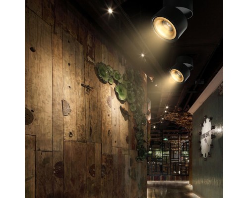 Потолочный светильник AGENDA black+gold 10W ImperiumLoft