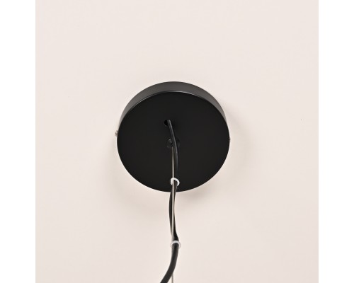 Подвесной светильник RASK ImperiumLoft