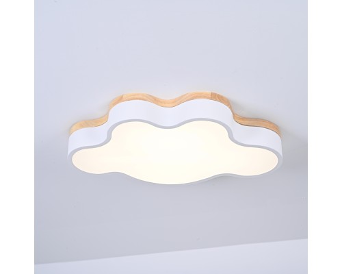 Потолочный светильник CLOUD ECO D50 White ImperiumLoft