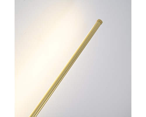 Настенный светильник Wall LINES L60 Gold