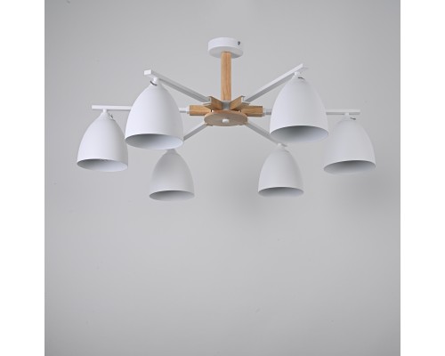 Потолочная люстра NOA 6 White