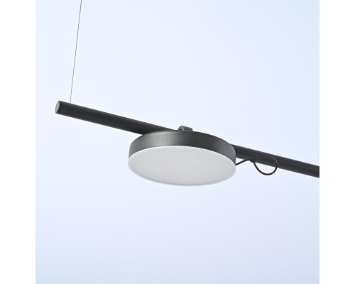 Подвесной светильник CARY-LONG ImperiumLoft