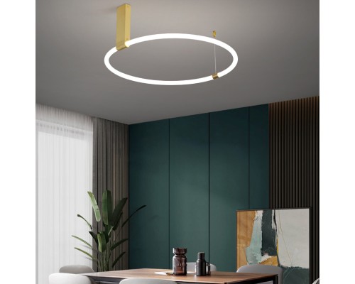 Потолочный светильник RINGMOR D60 D80 R2 ImperiumLoft