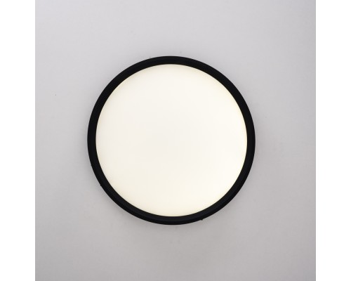 Потолочный светильник EXTRASLIM D50 Black ImperiumLoft