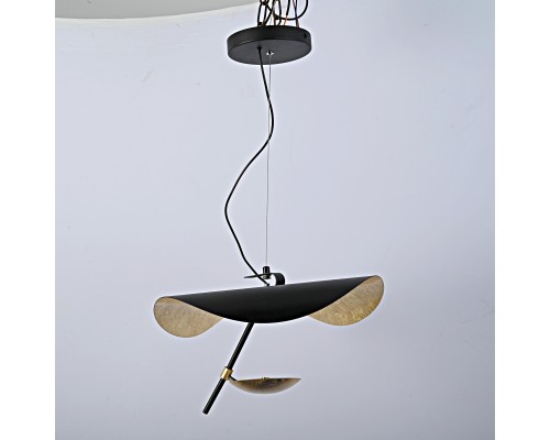 Подвесной светильник COVERT Black D40 ImperiumLoft