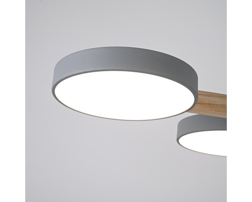 Потолочная люстра TURNA L6 Grey