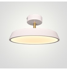 Потолочный светильник BIRK D30 White ImperiumLoft