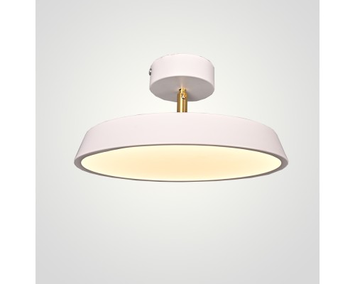 Потолочный светильник BIRK D30 White ImperiumLoft