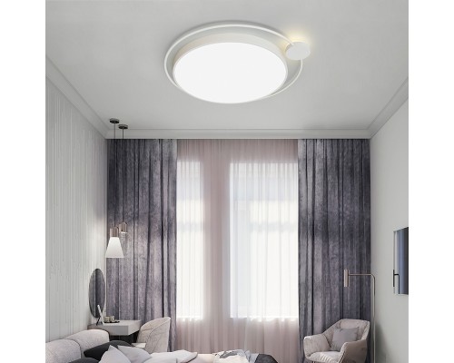 Потолочный светильник DESTIN D50 Black ImperiumLoft