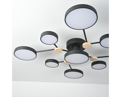 Потолочная люстра GAMMA D98 Black