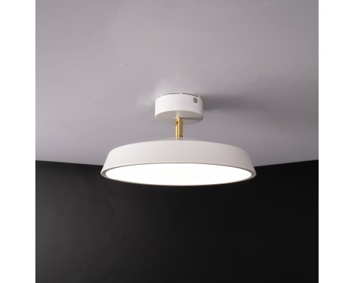 Потолочный светильник BIRK D30 White ImperiumLoft