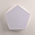 Потолочный светодиодный светильник GEOMETRIC White D40