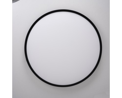 Потолочный светильник EXTRASLIM D100 Black ImperiumLoft