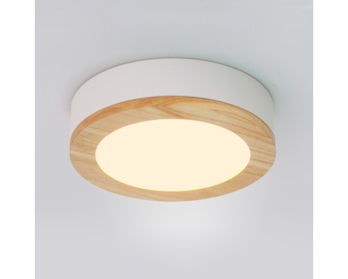 Потолочный светильник WUDDA D50 Белый