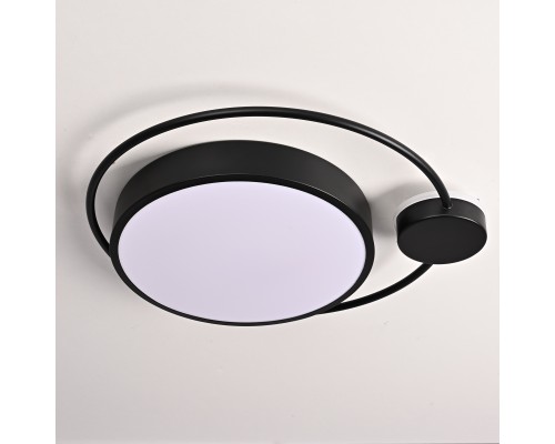 Потолочный светильник DESTIN D40 Black ImperiumLoft