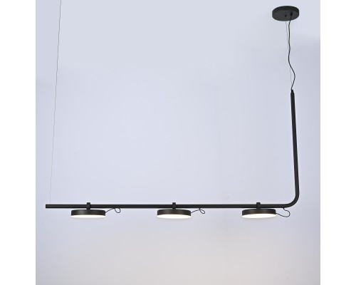 Подвесной светильник CARY-LONG ImperiumLoft