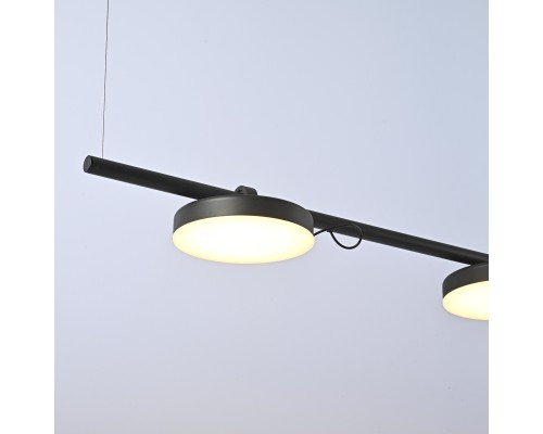 Подвесной светильник CARY-LONG ImperiumLoft