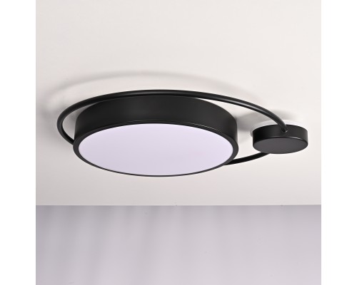 Потолочный светильник DESTIN D40 Black ImperiumLoft