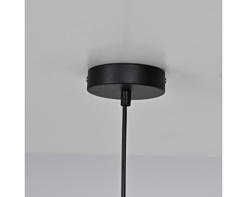 Подвесной светильник Kovra Black D29 ImperiumLoft